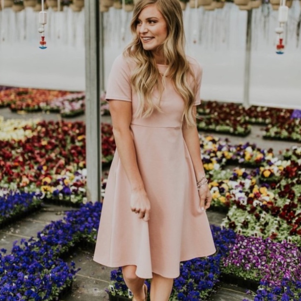 Roolee Charlotte Grace MOM Dress (Bump + Nursing Friendly!)